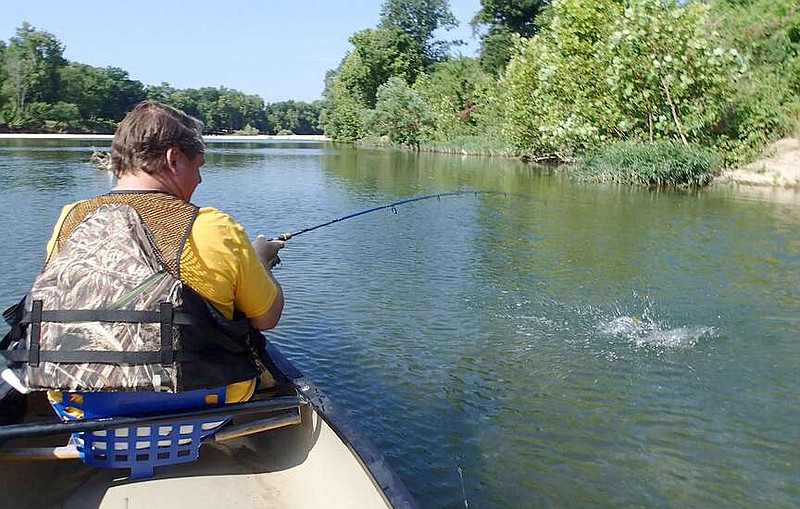 Alan Bland of Rogers battles a smallmouth bass on the Elk River near Pineville, Mo. Fishing was good on a 4-mile float fishing trip. Visit nwaonline.com/photo for today's photo gallery.
(NWA Democrat-Gazette/Flip Putthoff)